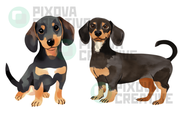 Download Sausage Dogs 2 Graphic Bundle PNG - Dog Collection