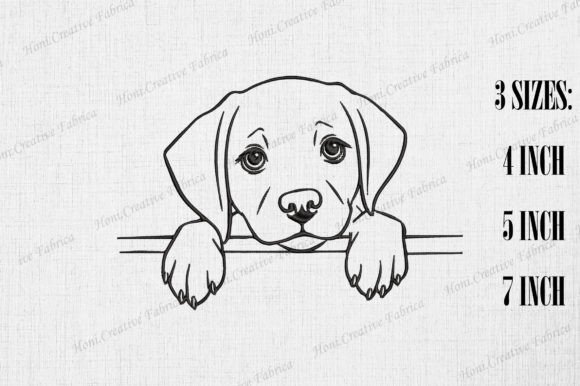 Download Cute Labrador Retriever Dog Peeking Wall - Dog Collection
