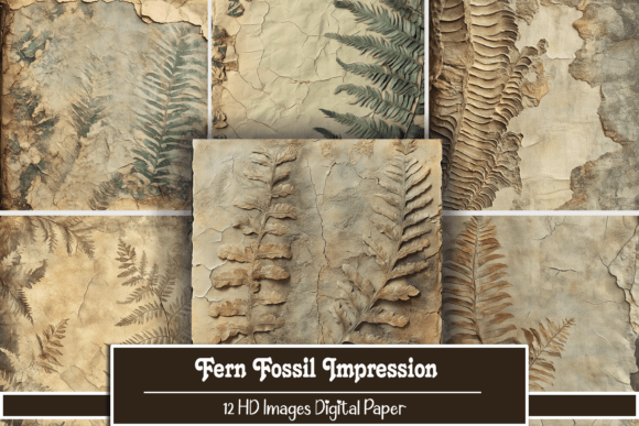 Download Fern Fossil Impression - Premium Bundle