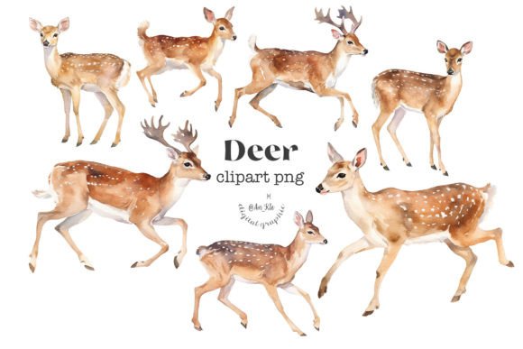Download Deer Clipart - Deer clipart Collection