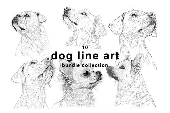 Download Dog Line Art Bundle Collection - Dog Collection
