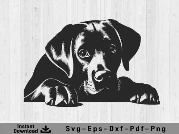 Download Peeking Labrador Retriever Dog Svg File - Dog Collection